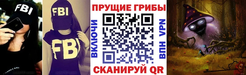 Купить где  Мурино  Галлюциногенные грибы GOLDEN TEACHER 